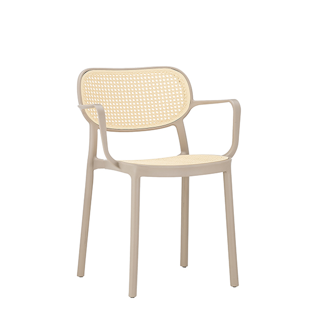 餐椅 休闲椅